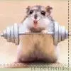 dis is juzt to cute