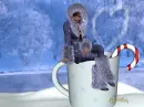 Cocoa in Snow