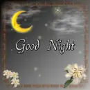 good night