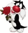 Frajola's Valentine day