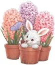 rabitt in the flowers
