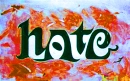 love hate