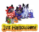 It's Halloween