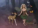 Woodland Stroll