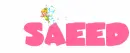 Saeed Fairy