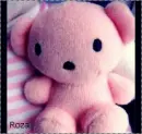 teddy bear