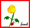 sun filled day - Jewel