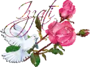 white dove - Izzati