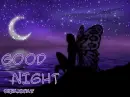 good night