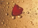 valentines treat love