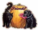 Friends?