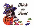 Trick or Treat