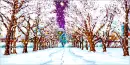 snowy day