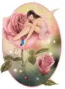 fairy