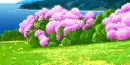 spring day