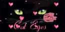 cat eyes