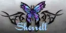 butterfly
