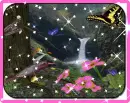 butterflies in nature
