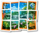 pretty picture