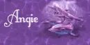 dolphins - angie