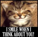 Kitten
