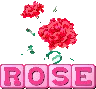 rose