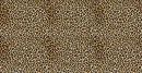 Leopard Skin