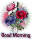 Good Morning