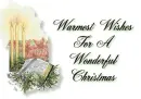 Warmest Wishes on Christmas