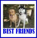 Best Friends