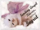 Sending Angel Kisses
