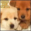Do not hurt us!!!