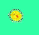 Chick