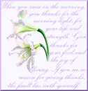 Quote