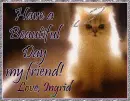 Have a Beautiful day my friend! 