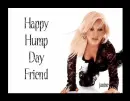 Pink Happy Hump Day