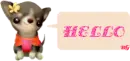 KAWAII PUPPY HELLO