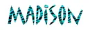 Madison Zebra