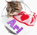 Ari-Cat
