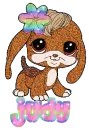 Judy