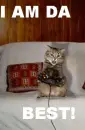 Kitty