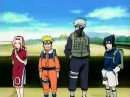 Team7