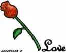 rose colors