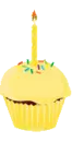 yellow cup cake