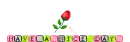 Have A Nice Day