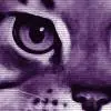 Feathertail of RiverClan