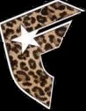 cheetah1