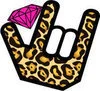 cheetah2