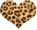 cheetah3