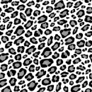 cheetah5